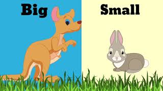 Big and Small  Comparison big and small  Big amp Small concept for kindergarten  Learn opposite [upl. by Tremann]