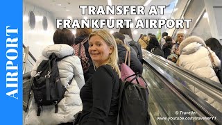 TRANSFER AT FRANKFURT Airport  Connection Flight at Frankfurt International Airport [upl. by Domini]