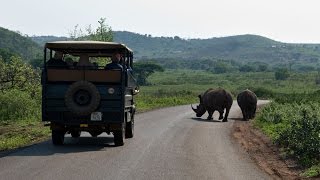 Exploring Africas Oldest Game Reserve Hluhluwe Imfolozi [upl. by Gruchot]