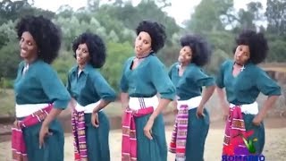 Ethiopian Cultural Melodies Relaxing Tunes [upl. by Reerg]