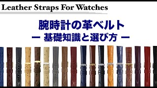 腕時計の革ベルト 基礎知識と選び方 [upl. by Winn]