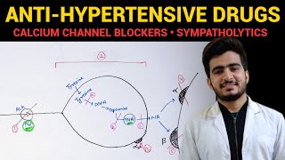 Antihypertensives  Important MCQ along with explanation [upl. by Julie618]