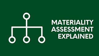 Materiality Assessment Explained [upl. by Emerick]