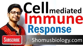 Cell mediated immunity  innate immune response [upl. by Aihseym582]