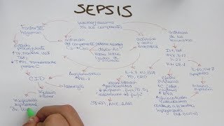 SEPSIS Fisiopatología [upl. by Adila622]