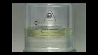 Interfacial Tension Test using a Du Nouy Ring [upl. by Ecire]