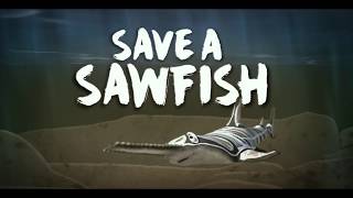 Save a Sawfish English Dan Hartney [upl. by Larimer]