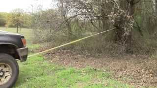 How to clear Brush and Undergrowth [upl. by Pul]