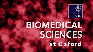 Biomedical Sciences at Oxford University [upl. by Annehcu]