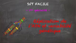 SVT FACILE  1ère spé  Réplication de lADN et variabilité génétique [upl. by Suraved619]