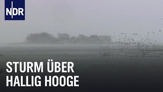 Land unter auf Hallig Hooge  die nordstory  NDR Doku [upl. by Airb]