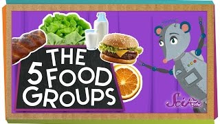 The 5 Fabulous Food Groups [upl. by Odilia435]