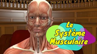 Physiologie humaine Le Système Musculaire  The Muscular System [upl. by Anisirhc]