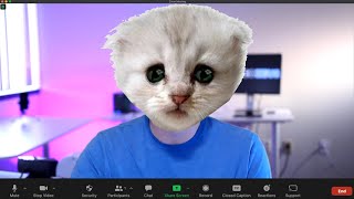 How To Use Lawyer Cat Zoom Filter And How To Remove It [upl. by Narine75]