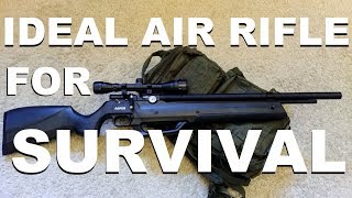 The Ideal Air Rifle for Survival PCP with builtin Pump [upl. by Adgam728]