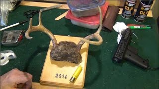 Pickled Hide Method for Mounting Deer Antlers [upl. by Minoru266]