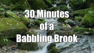 💦 30 Minutes of a Babbling Brook  Relaxing Sound for Studying or Sleep [upl. by Ireg]