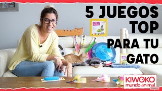 TOP 5 Mejores JUGUETES para GATOS caseros 🐈📦🎏 [upl. by Resarf]