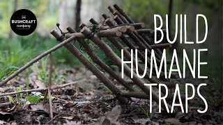 Bushcraft Kids How to make a humane trap AT HOME [upl. by Ruthven]