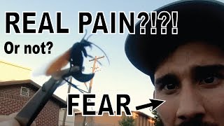 Stung by a Tarantula Hawk [upl. by Aiki]