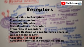 Receptors Physiology [upl. by Ahseinar]