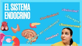 El sistema endocrino y las hormonas  BioESOsfera [upl. by Eitra]