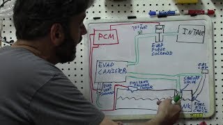 Diagnosis  Understanding EVAP Systems SBQM Full Video [upl. by Welcher]