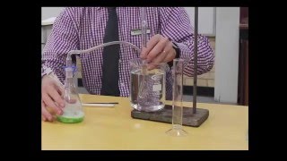 Catalase experiment [upl. by Ylen]