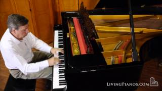 GrotrianSteinweg ArtCase Grand Piano for Sale – Best ArtCase Pianos Online [upl. by Yadnus]