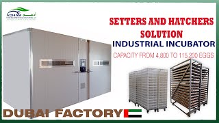 Industrial Incubator Setter and Hatcher  Capacity from 4800 to 115200 eggs [upl. by Ardnasyl]