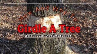 How And Why To Girdle A Tree Tree Girdling [upl. by Hgieliak606]