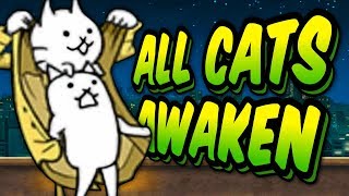 SO MANY TRUE FORMS  Awakens Specials Stages  Battle Cats 27 [upl. by Namyaw]