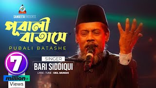 Pubali Batashe  Bari Siddiqui  পূবালী বাতাসে  বারী সিদ্দিকী  Music Video [upl. by Liva717]