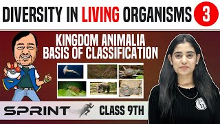 Diversity in Living Organisms 03  Kingdom Animalia  Basis of Classification  Class 9  NCERT [upl. by Irtimid845]