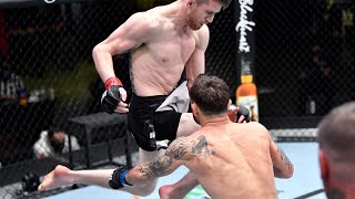 Every Flying Knee Finish in UFC History [upl. by Reivaj213]