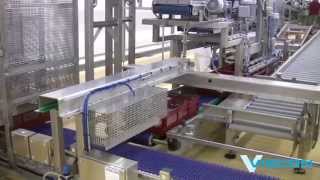 Viscon Hatchery Automation  Chick processing [upl. by Ibbie]