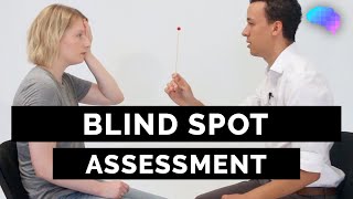 Blind Spot Assessment  OSCE Guide  UKMLA  CPSA  PLAB 2 [upl. by Ymaral]