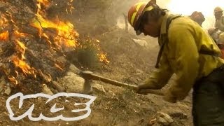 How to Fight Forest Fires [upl. by Adnana287]