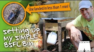 How To Start A Black Soldier Fly Larvae Composting Bin [upl. by Orvil]