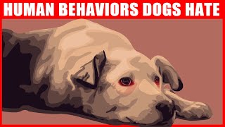 21 Human Behaviors Dogs Hate the Most [upl. by Goldin]