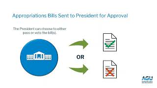 Science Funding The Appropriations Process [upl. by Connelley609]