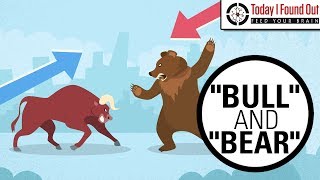 Why are Bull and Bear Markets Called That [upl. by Beedon]