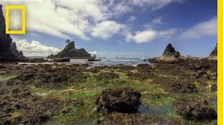 Olympic National Park  America’s National Parks [upl. by Cyprio]