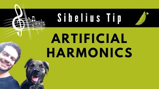 ARTIFICIAL HARMONICS  SIBELIUS TIPS [upl. by Anoik873]