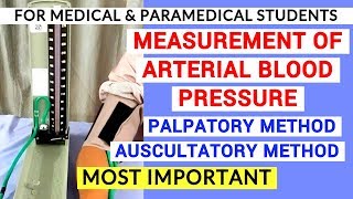 How To FEMORAL NERVE BLOCK  Dr Auyong Scanning Technique Video [upl. by Neelloc]