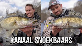 Snoekbaars vissen op een kanaal Dikke 70 Snoekbaarzen werpend vangen [upl. by Pembrook]