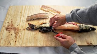 The BEST Way to Fillet a Pike [upl. by Mariska]