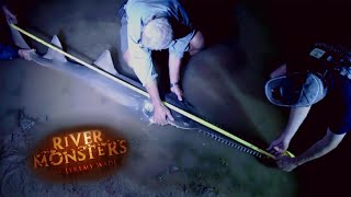 Jeremy Catches Seven Foot Sawfish  SAWFISH  River Monsters [upl. by Atirehs]