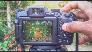 Full Manual Mode Nikon Coolpix P1000 B700 P900 Tutorial [upl. by Ogata127]