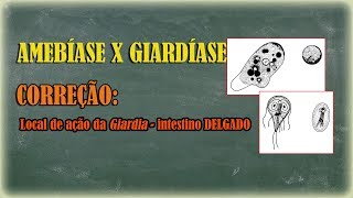 Amebíase e Giardíase correção do local de ação da Giardia [upl. by Lusa794]